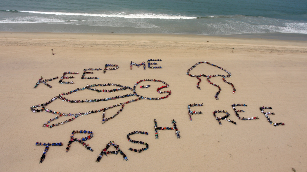 Beach Cleanup