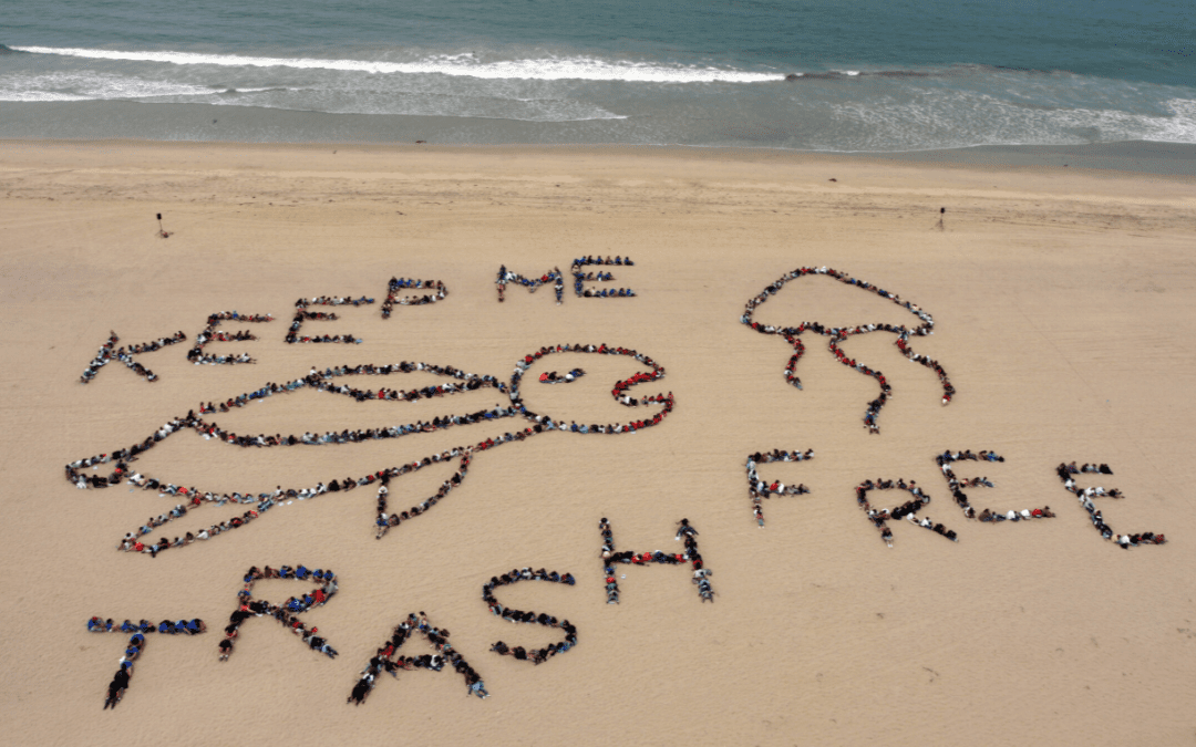 Beach Cleanup
