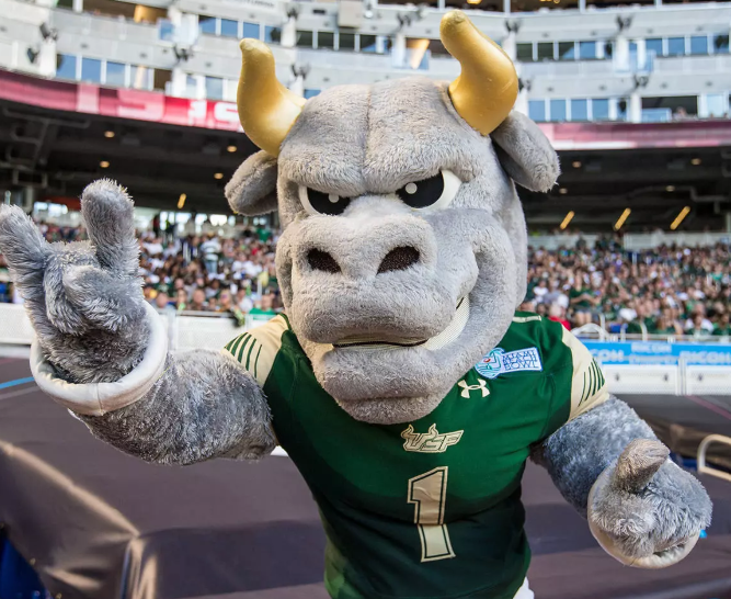 USF Mascot